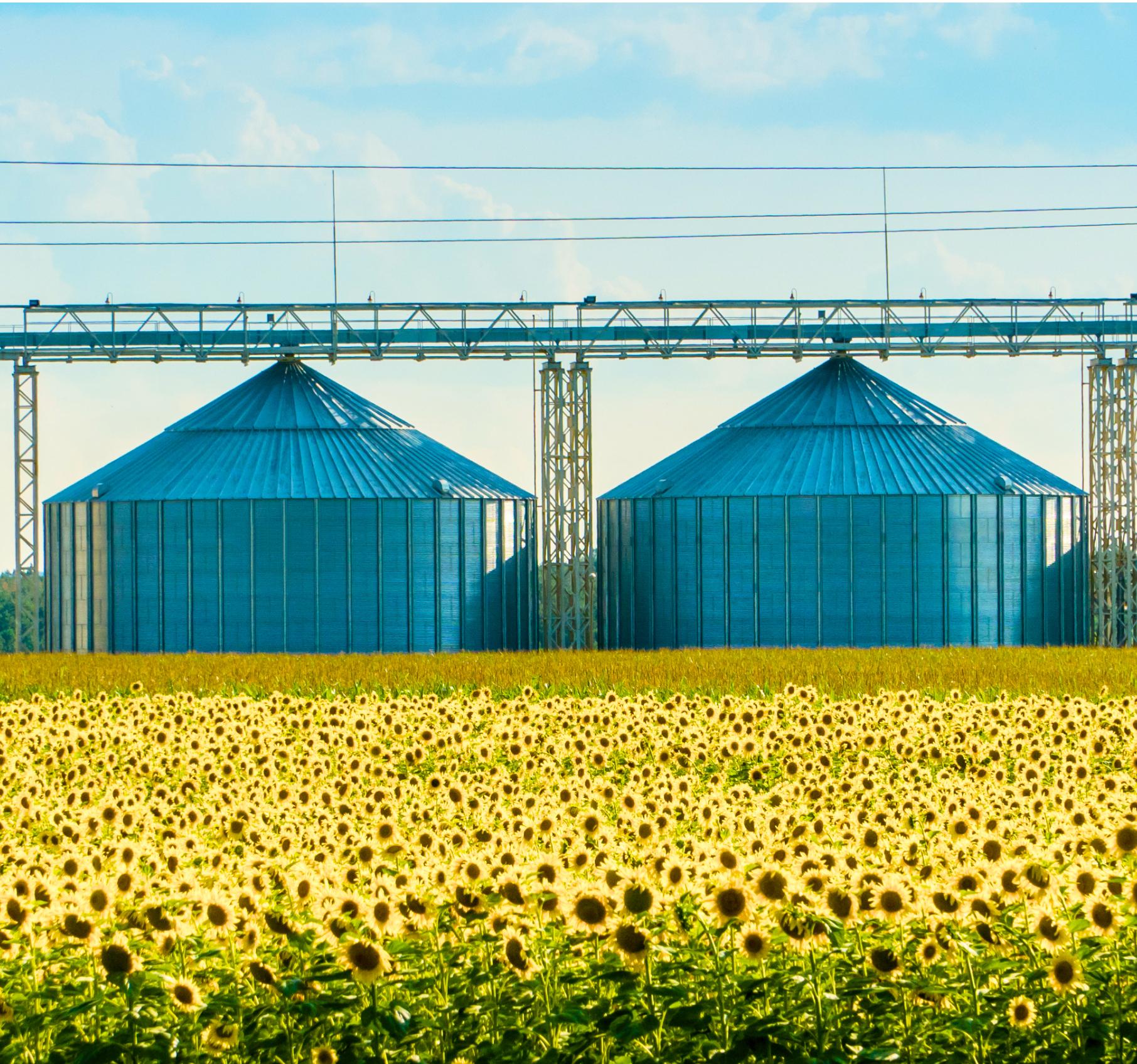 Farming